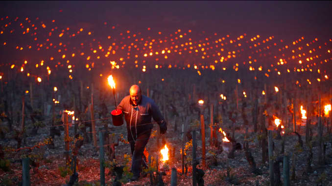 /ВИДЕО/ Спасают урожай от заморозков: в Италии жгут костры на виноградниках