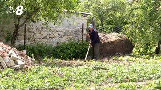 /VIDEO/ 9 mai în satele Moldovei: „E greu, dar sapa merge”. Opinii împărțite între Ziua Europei și cea a Victoriei