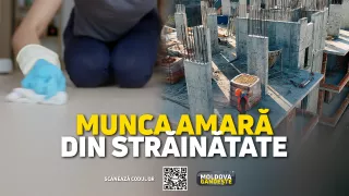 /VIDEO/ Istoriile unor moldoveni, înșelați peste hotare atât la bani, cât și la volumul de muncă. „Nu se respectă contractul” 