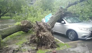 /VIDEO/ Furtună cumplită la Moscova: Copaci scoși din rădăcini, străzi sub ape și oameni răniți