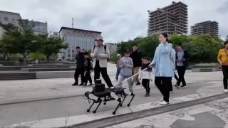 /ВИДЕО/ В Китае создали шестиногого робота-поводыря для незрячих