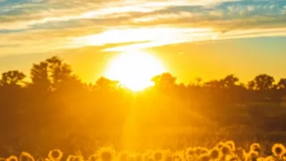 На юге +40°С, в Кишиневе около +37°С. Прогноз погоды на сегодня, 14 июля