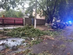 /FOTO/ Plouă în mai multe regiuni din țară! La Glodeni, furtuna a doborât copaci, a distrus țevi de gaz și a rupt fire electrice