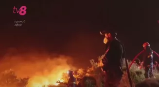 /ВИДЕО/ Молдавские пожарные продолжают свою миссию в Греции