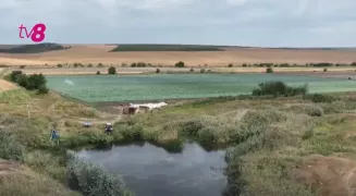 "Все так делают". Фермер из Яловенского района брал воду для полива капусты из пересыхающей реки