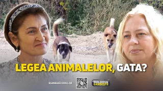 /VIDEO/ Premieră pentru Republica Moldova! Animalele ar putea avea o lege doar a lor, care să le ofere protecție