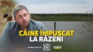 /VIDEO/ A împușcat un câine de rasă, cu arma personală. Cum (nu) a fost pedepsit un bărbat din raionul Ialoveni