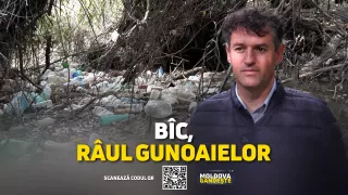 /VIDEO/ Râul Bîc, copleșit de gunoaie! Un proiect de 8 milioane de euro încă stă pe loc. Legătura între inundații și starea râului