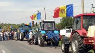 /ВИДЕО/ "Прошло две недели с тех дискуссий, но изменений нет". Молдавские фермеры снова на грани протестов