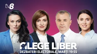 /PROMO/ Dezbateri electorale la TV8: Cine sunt invitații din 15 octombrie 2024, care se vor președinte