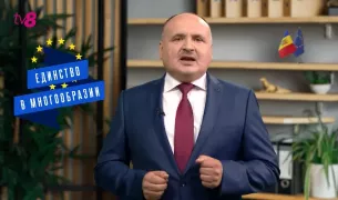 /ВИДЕО/ "Единство в многообразии". Анатолий Голя о правах национальных меньшинств в ЕС