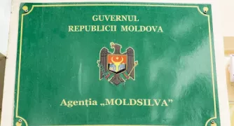 /ВИДЕО/ Сотрудников Moldsilva заподозрили в хищении средств ЕС на 4 млн леев