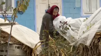 /ВИДЕО/ Зима близко, а запаса дров нет: жители сел ждут компенсации 