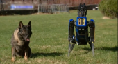 Полицейский департамент Нью-Йорка отказался от услуг "робота-пса". Жители смеялись над ним