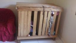 Doi copii de 3 ani erau închiși într-o cutie când părinții mergeau la serviciu