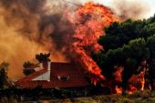 Incendiile de lângă Atena declanșate intenționat? Ce spun oficialii greci