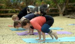 /FOTO/ Un nou trend printre cei care practică exerciții de relaxare: Yoga cu iezii