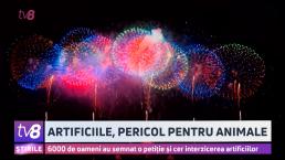 /VIDEO/ Artificiile de Revelion, chin pentru stăpânii animalelor. Unii au început să le dea antidepresive