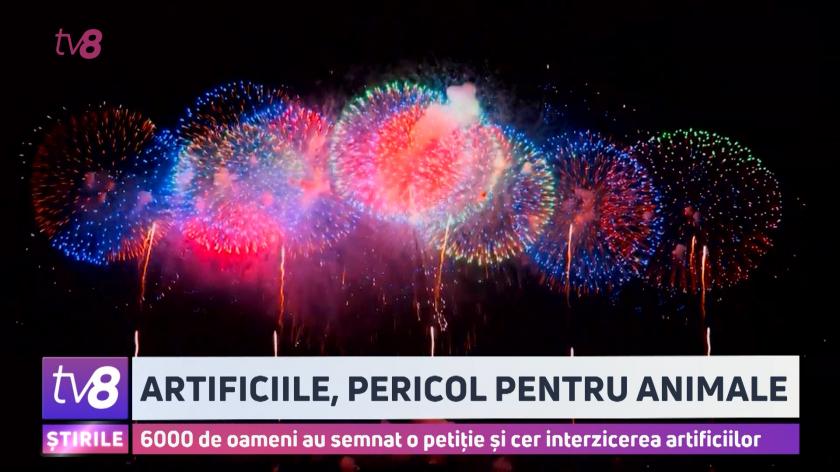 /VIDEO/ Artificiile de Revelion, chin pentru stăpânii animalelor. Unii au început să le dea antidepresive