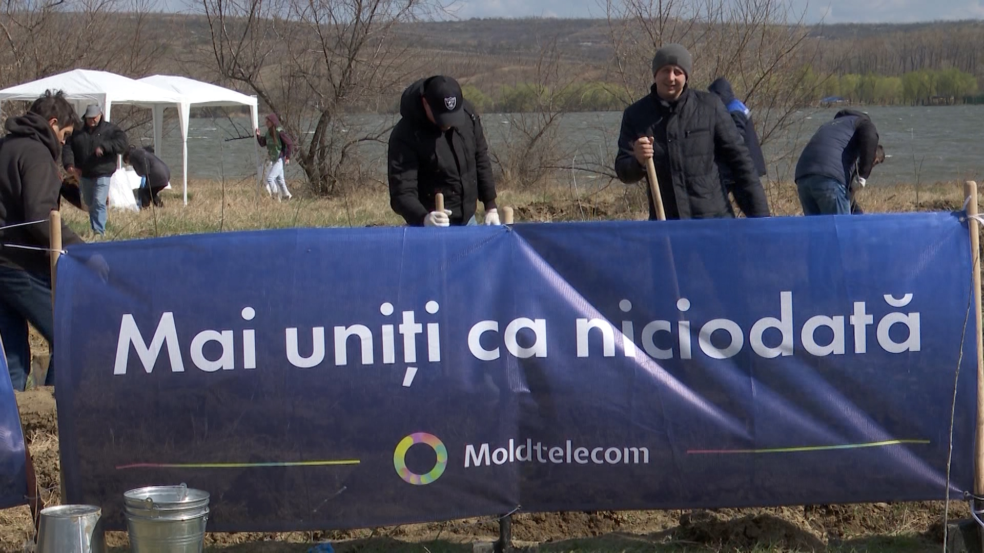 n181403v14_PĂDURE MOLDTELECOM.mxf.00_02_24_24.Still002