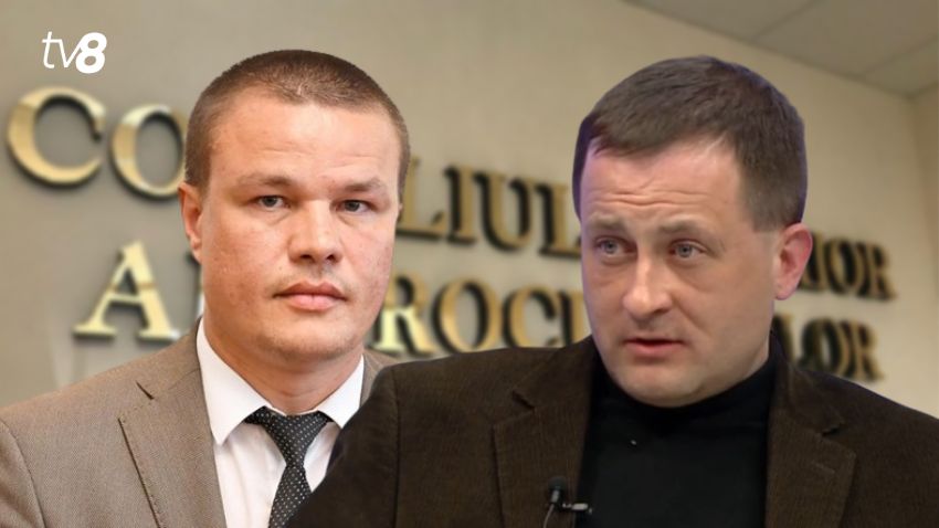 552193a2-53be-483c-b4e6-0a18384dcd59_ColajSite262