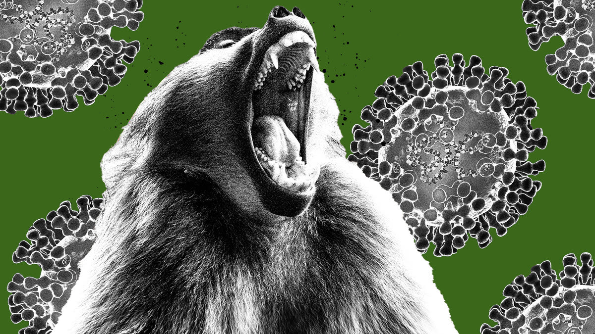 052022-pearl-monkeypox-new_mxfll5
