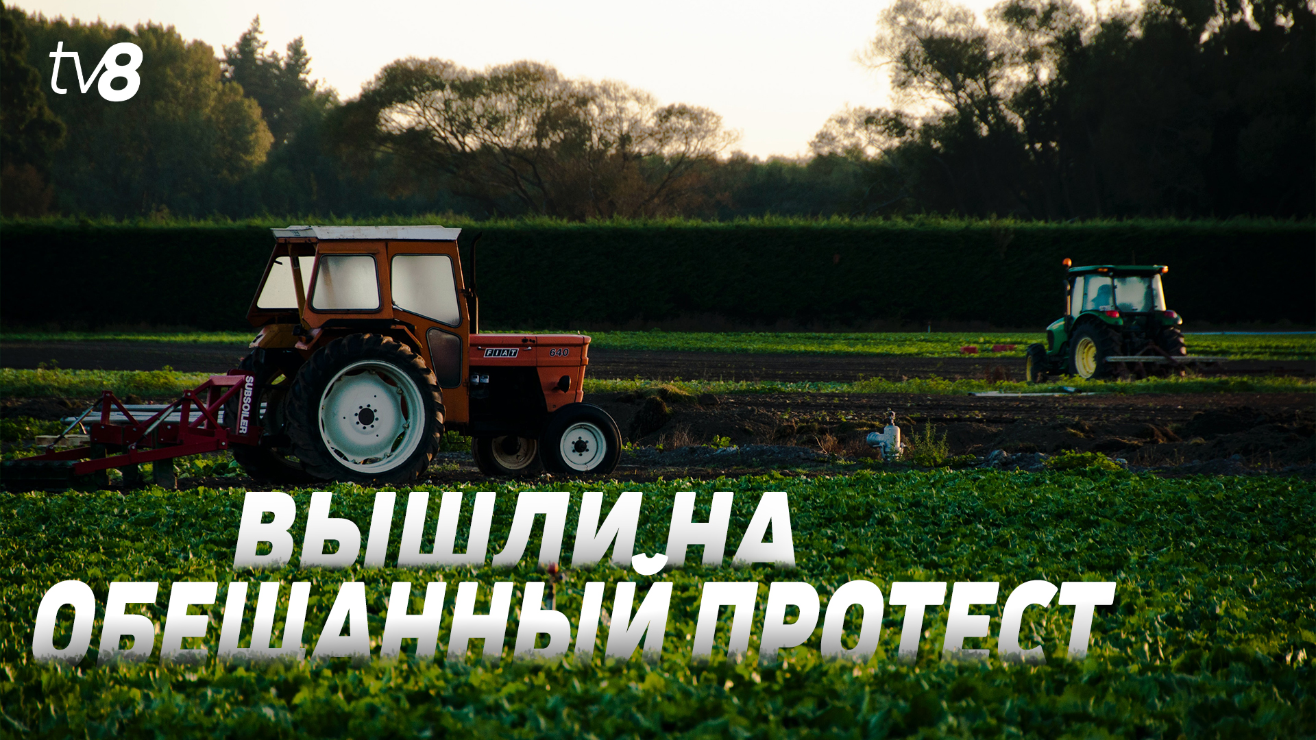 Protest Agricultori