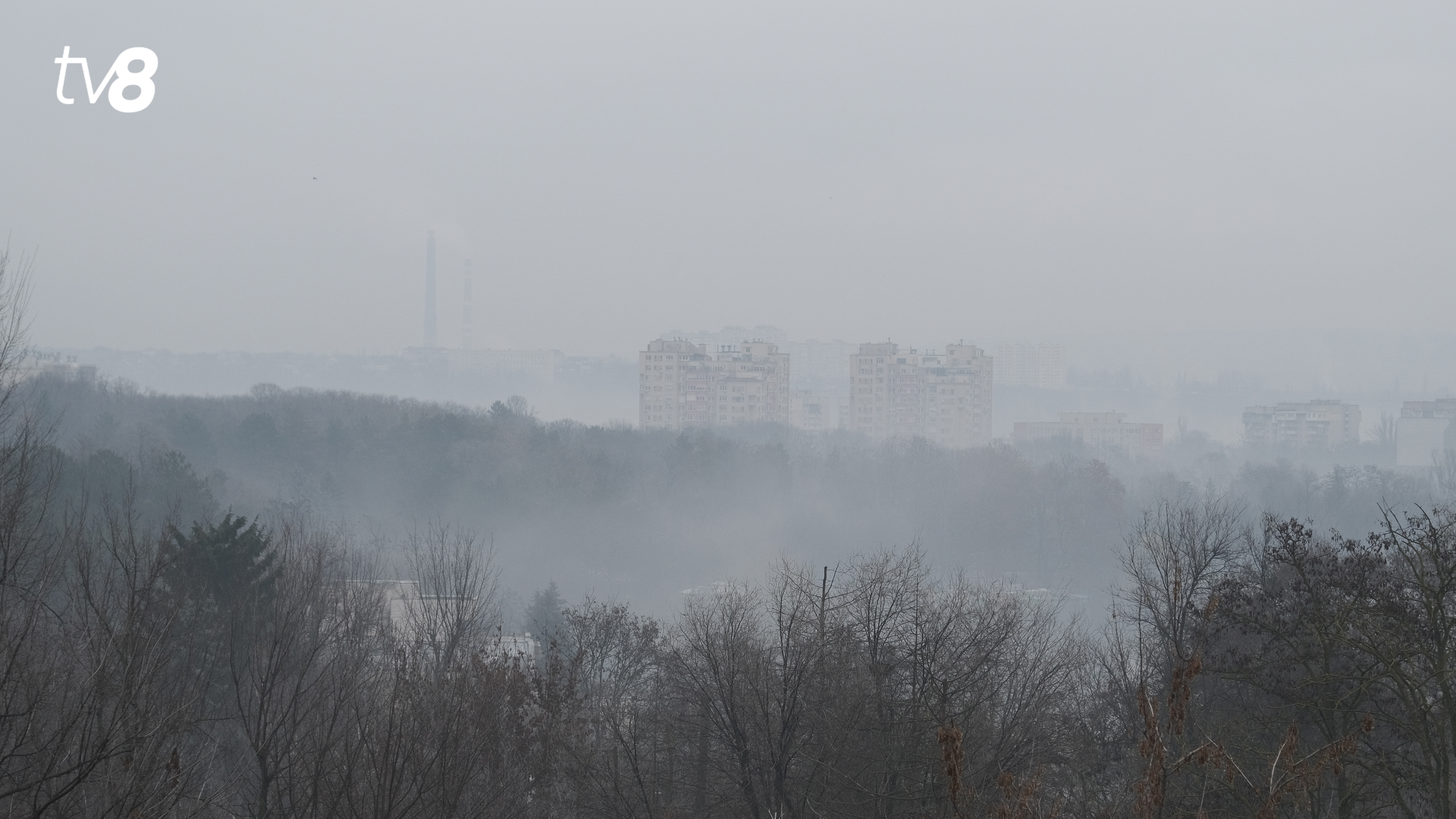 Meteo ceața 2