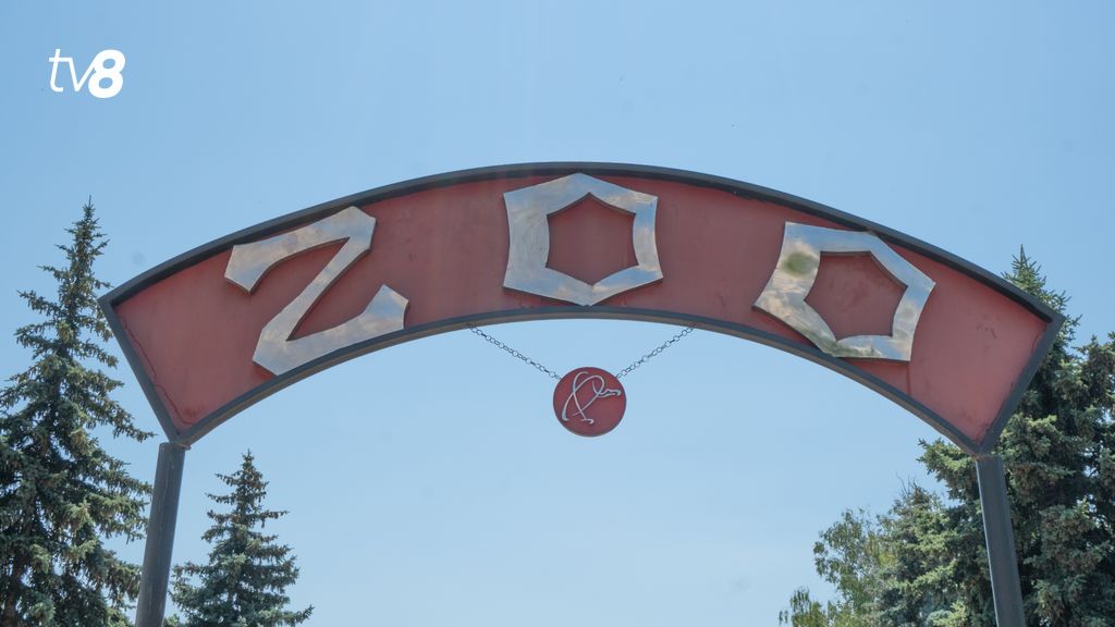 zoo (2)