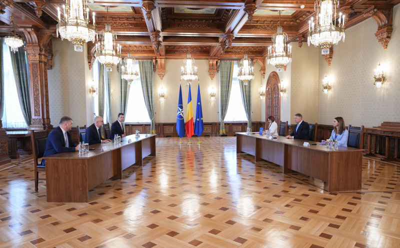 Consultări