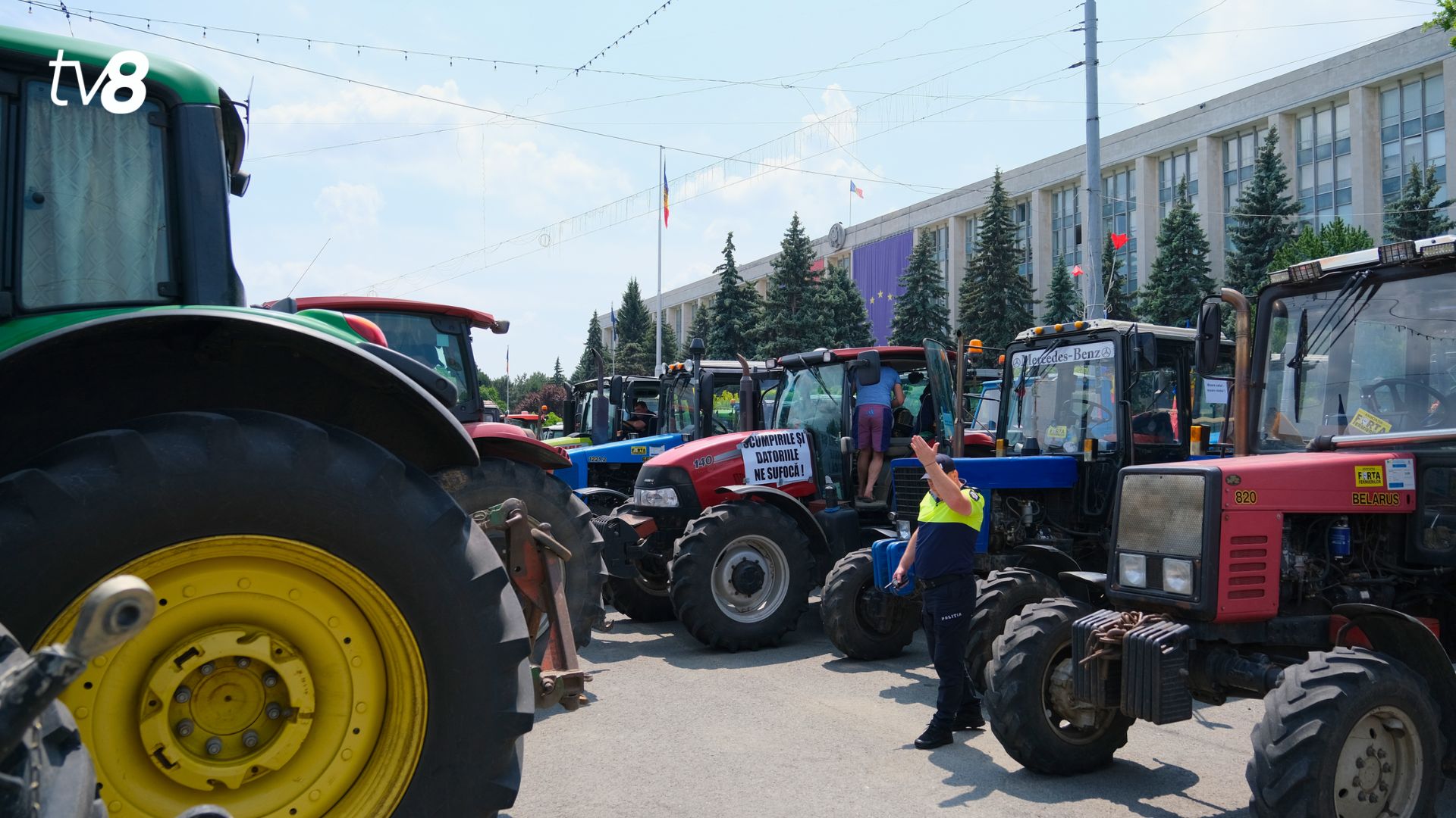 Design fără titlu (59)