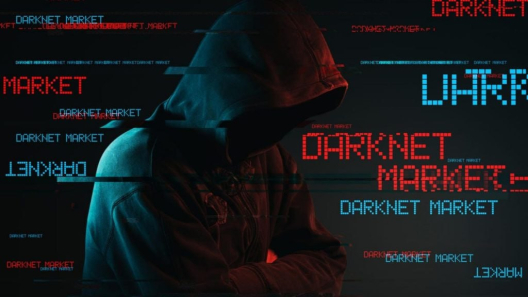 Platformă darknet de milioane, cu servere în Moldova: Principalul suspect din Germania, reținut în Mallorca