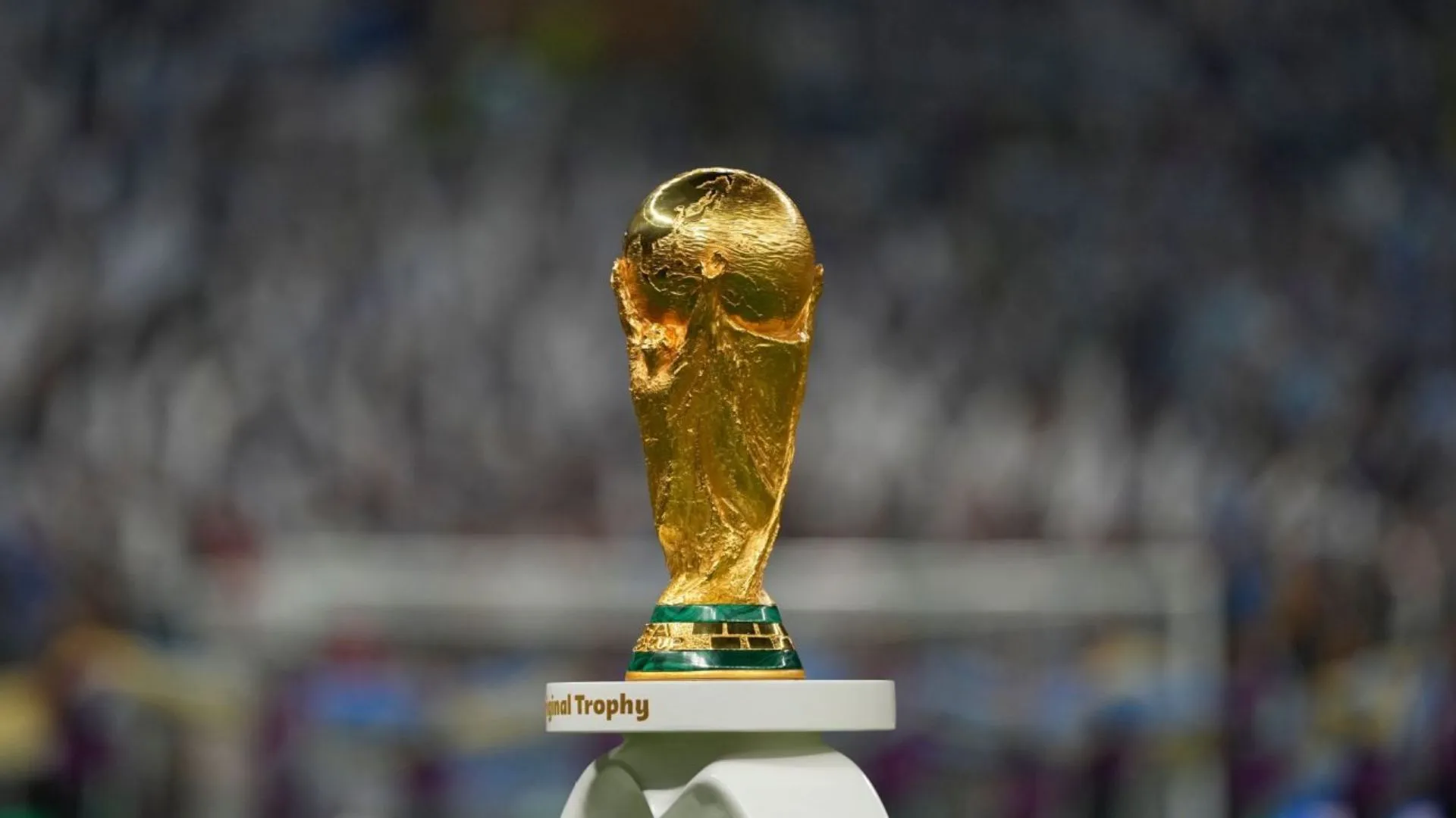 world cup 20