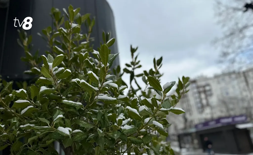 meteo_zapada3