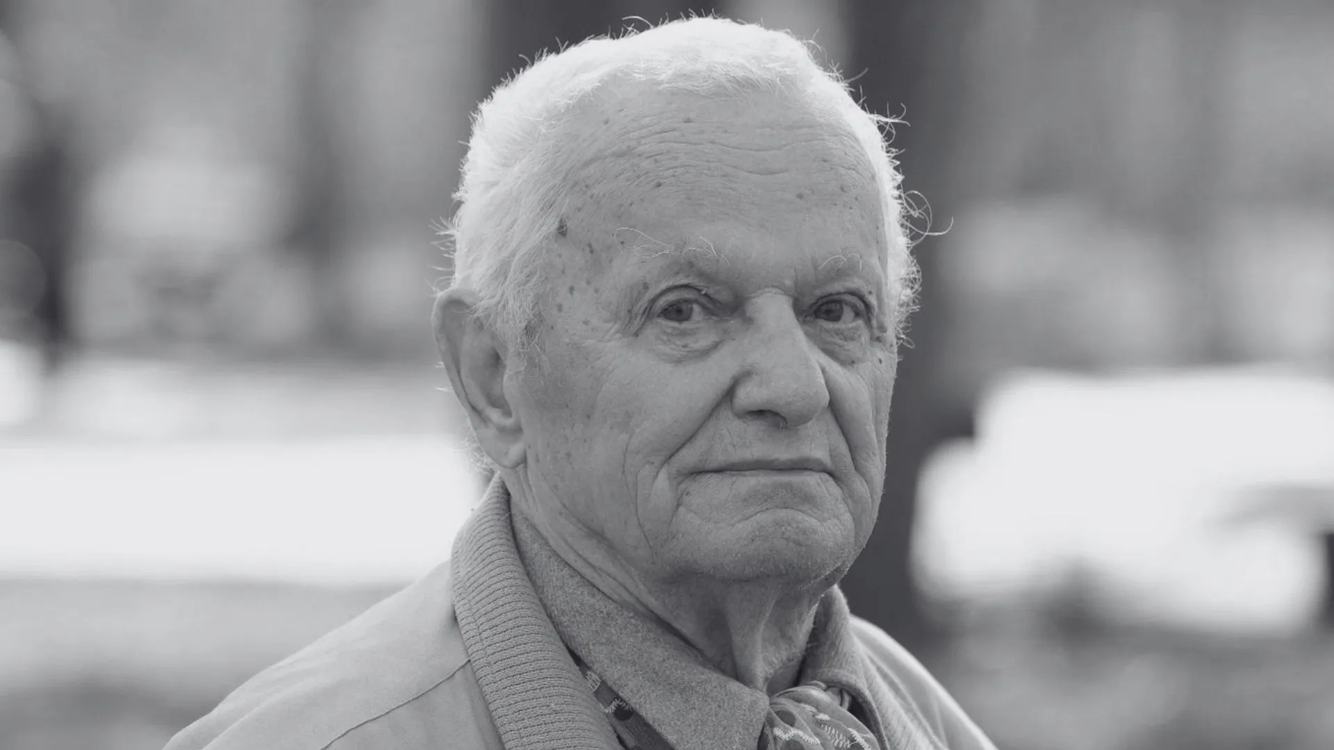 Vladimir Beșleagă