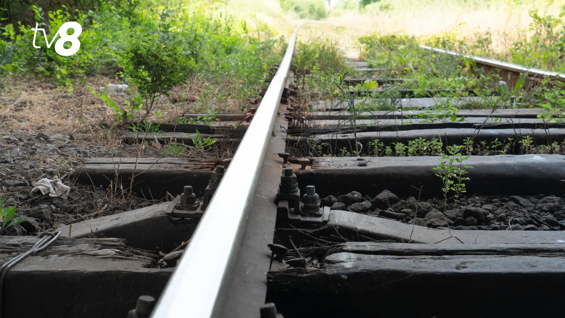 Descoperire macabră la Ocnița: Un bărbat ar fi fost lovit de tren