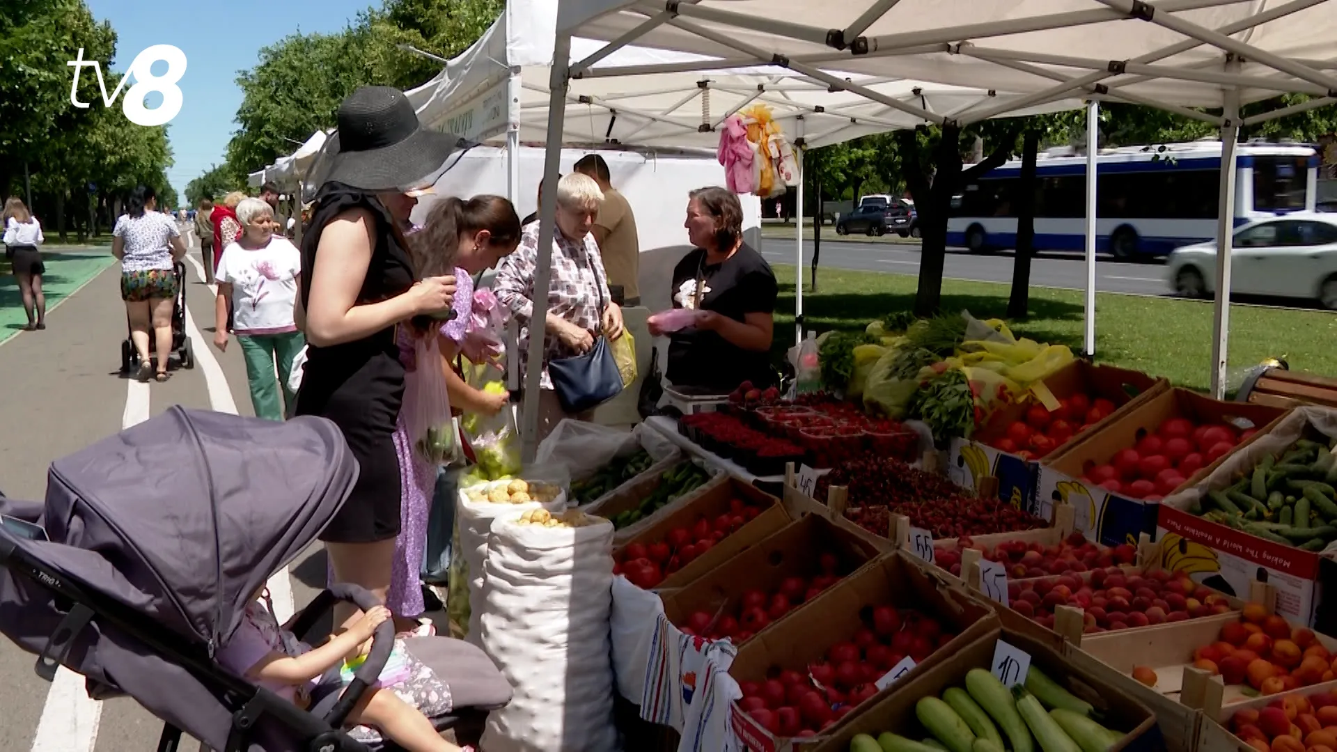 Fructe, legume și produse autohtone: Târguri și iarmaroace în mai multe sectoare ale Chișinăului