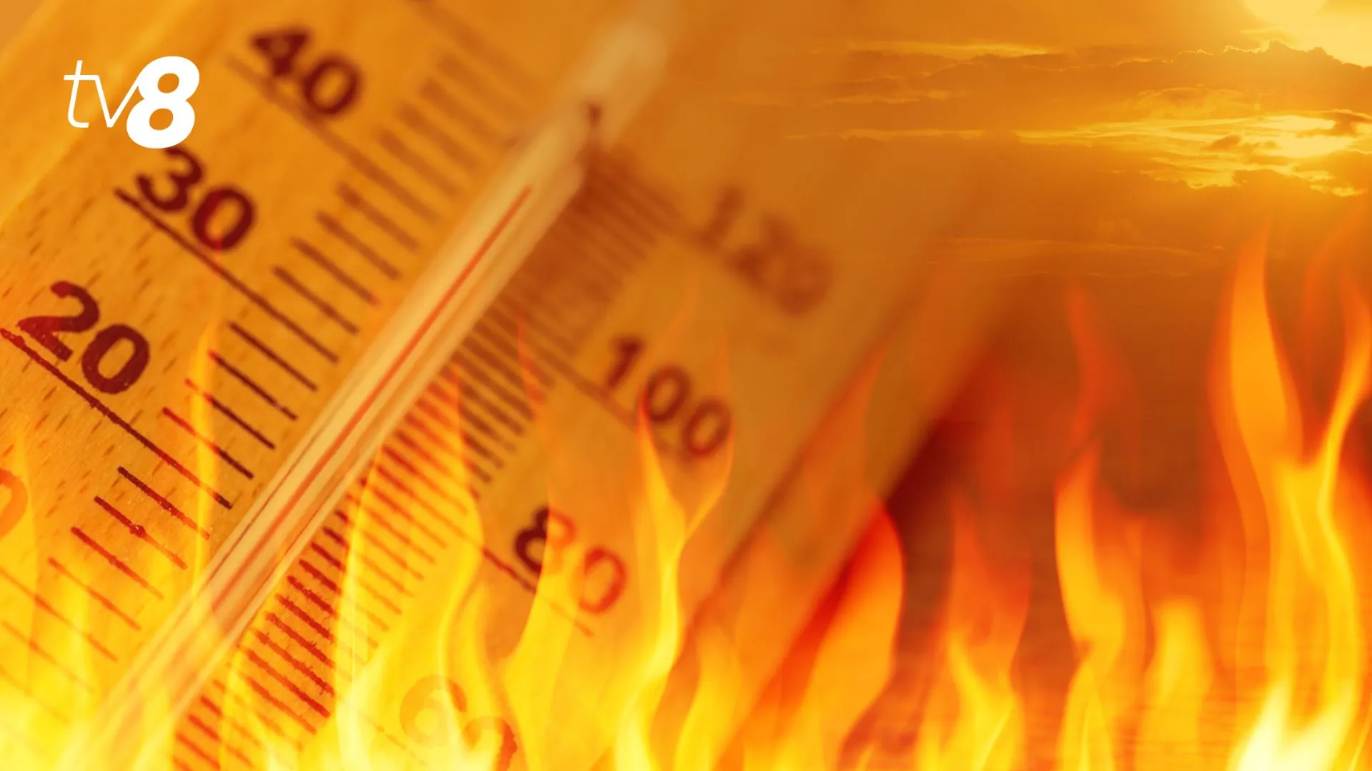 Temperaturi record în luna mai 2026: Canicula a făcut șapte victime în Franța
