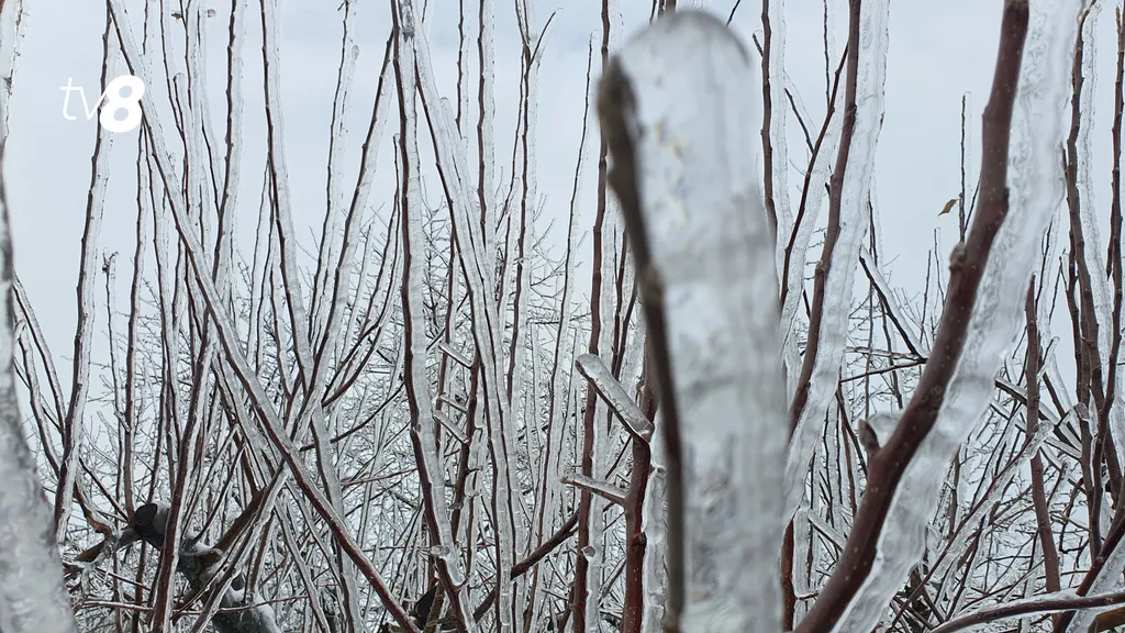 /METEO/ Cum va fi vremea azi, 8 februarie 2026: Mai multe regiuni se bucură de condiții stabile, fără precipitații