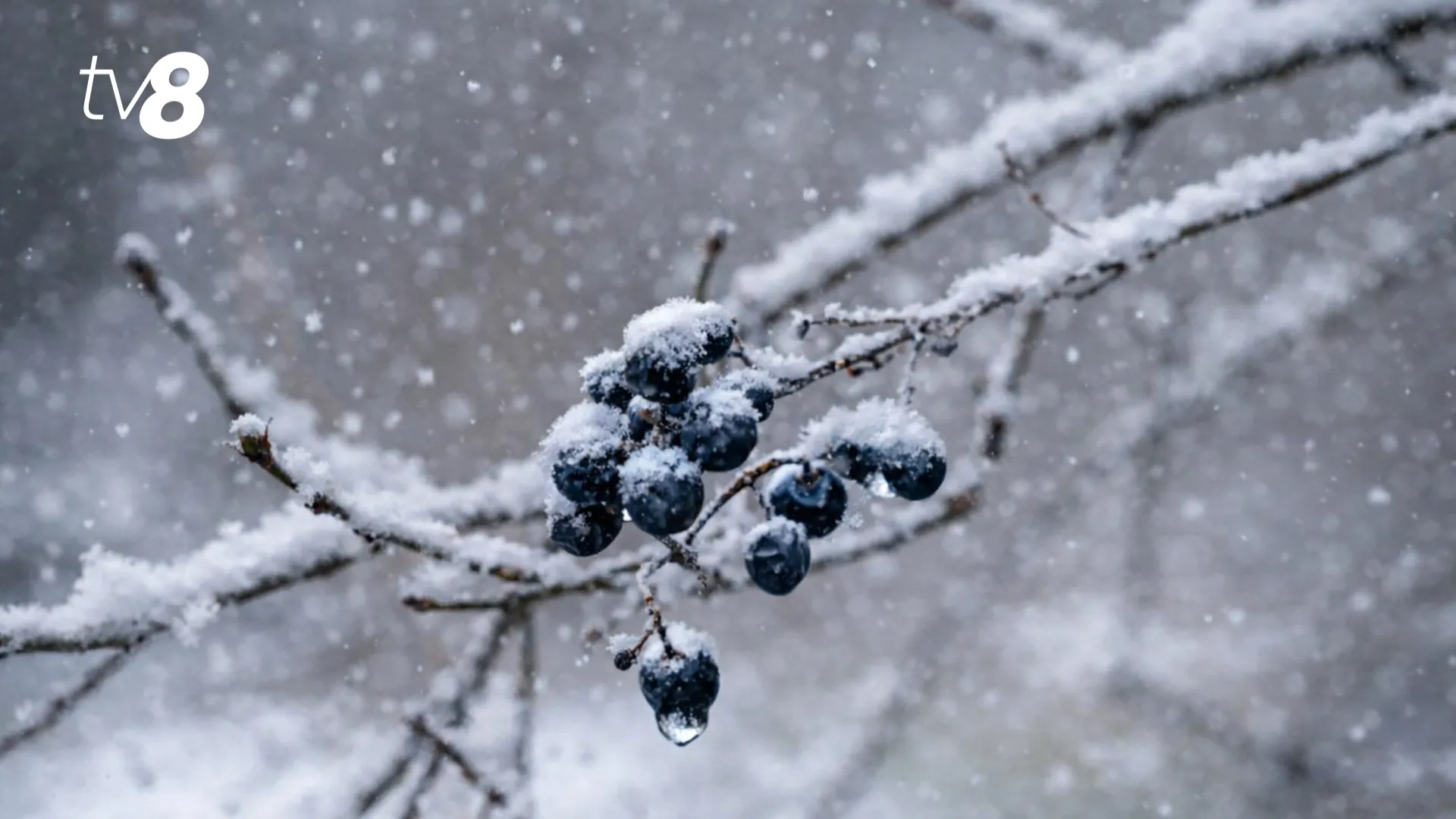 Ninsori, ceață, dar și temperaturi mai ridicate în Moldova: Cum va fi vremea în următoarele zile