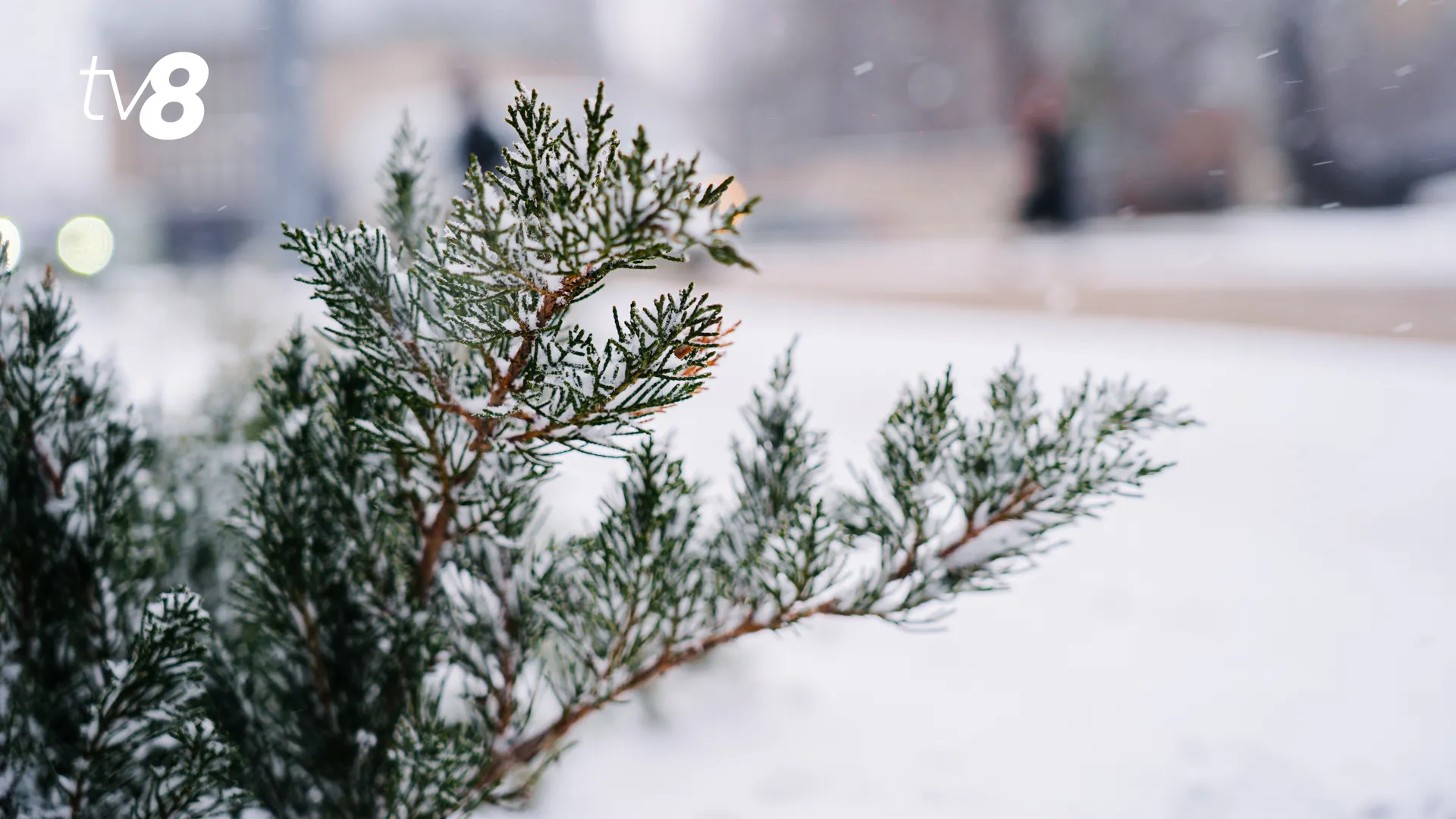 /METEO/ Cum va fi vremea azi, 19 februarie 2026: Cer variabil și zi fără precipitații