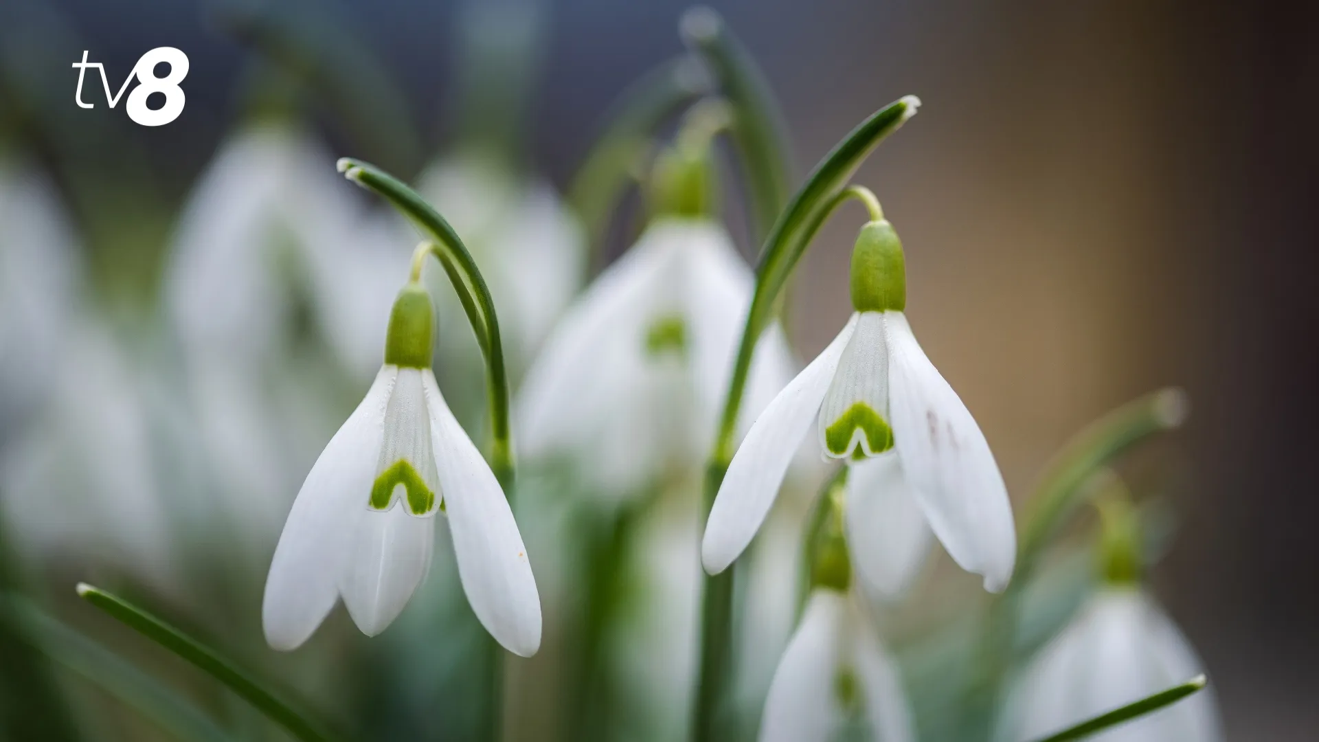 /METEO/ Cum va fi vremea azi, 10 martie 2026: Zi cu cer senin și fără precipitații. Care vor fi temperaturile maxime