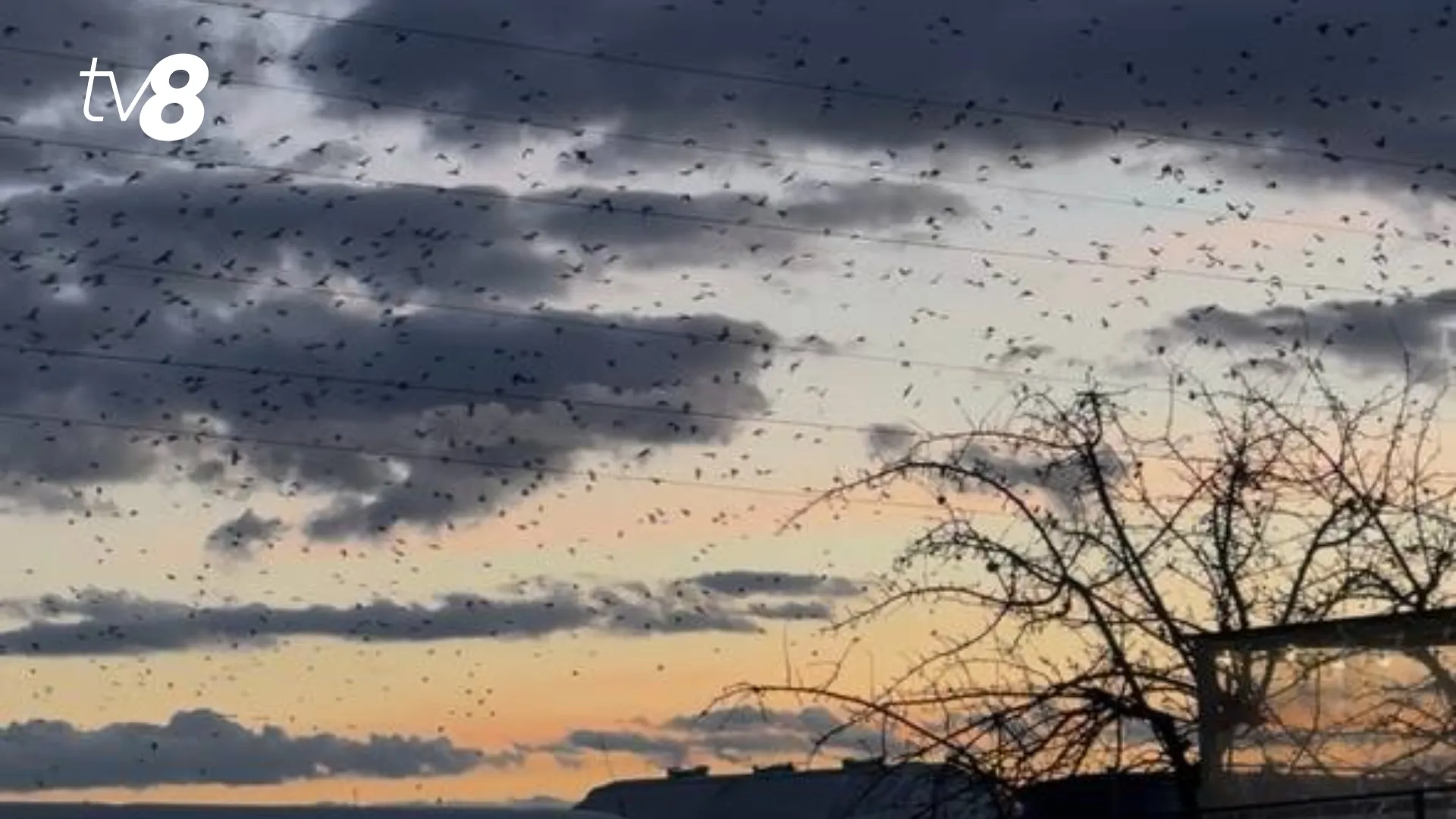 /METEO/ Cum va fi vremea azi, 21 martie 2026: Weekend posomorât, fără soare. Temperaturile prognozate