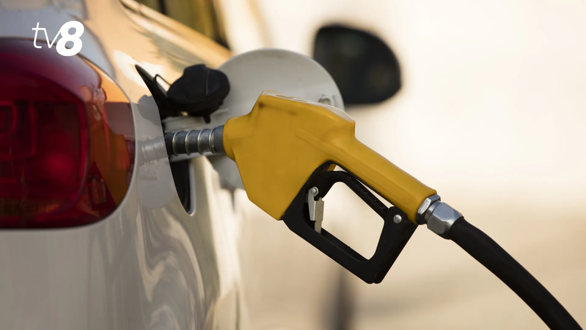 Rusia se pregătește să interzică exporturile de benzină de la 1 aprilie