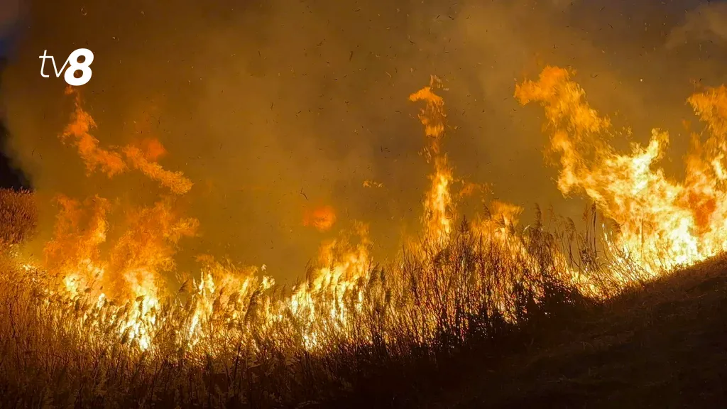/VIDEO/ Incendii de vegetație în mai multe raioane din țară: Câte hectare au fost mistuite în 24 de ore
