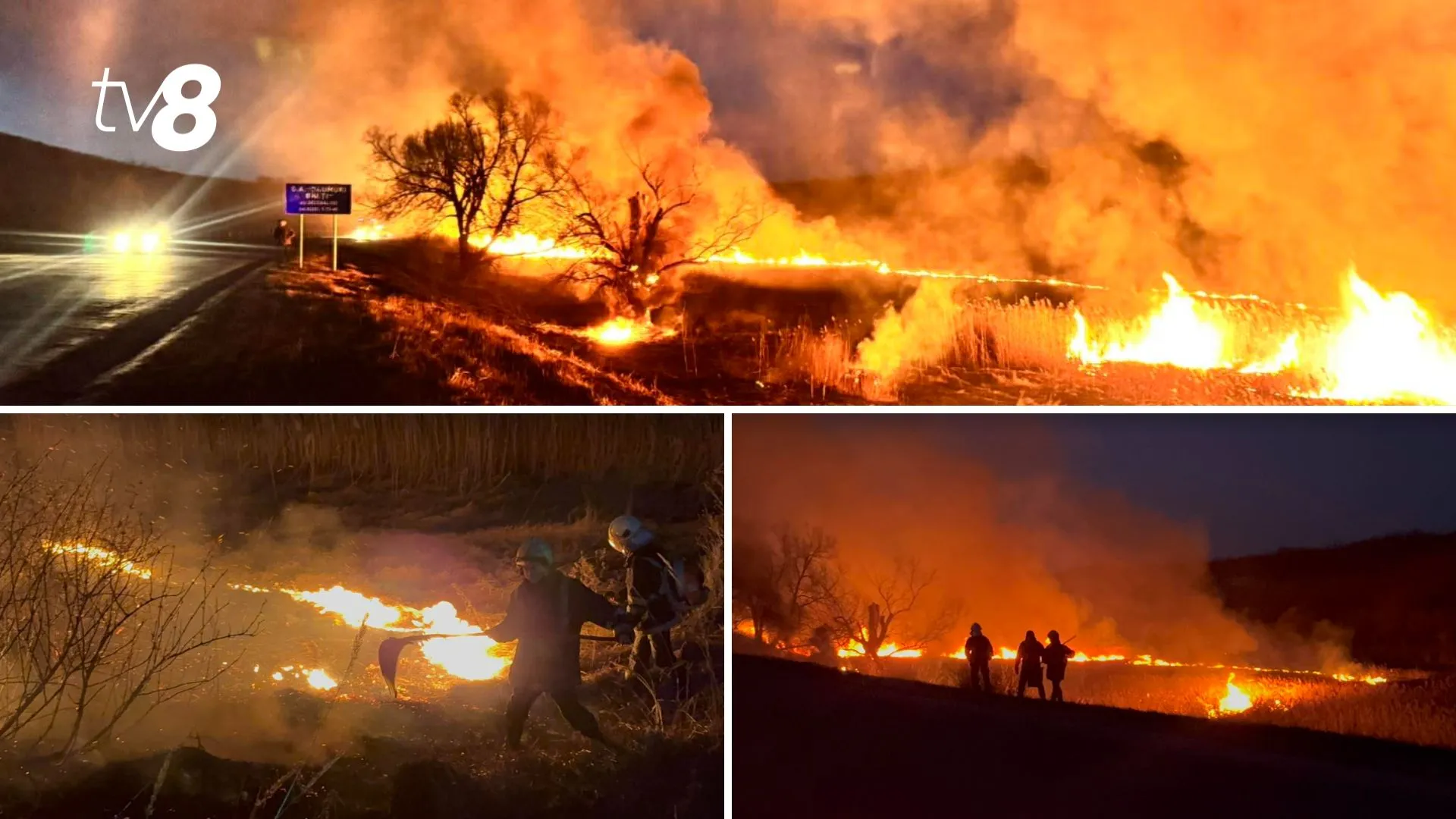 /VIDEO/ Incendiu puternic de vegetație spre Călărași: Imaginile surprinse de TV8