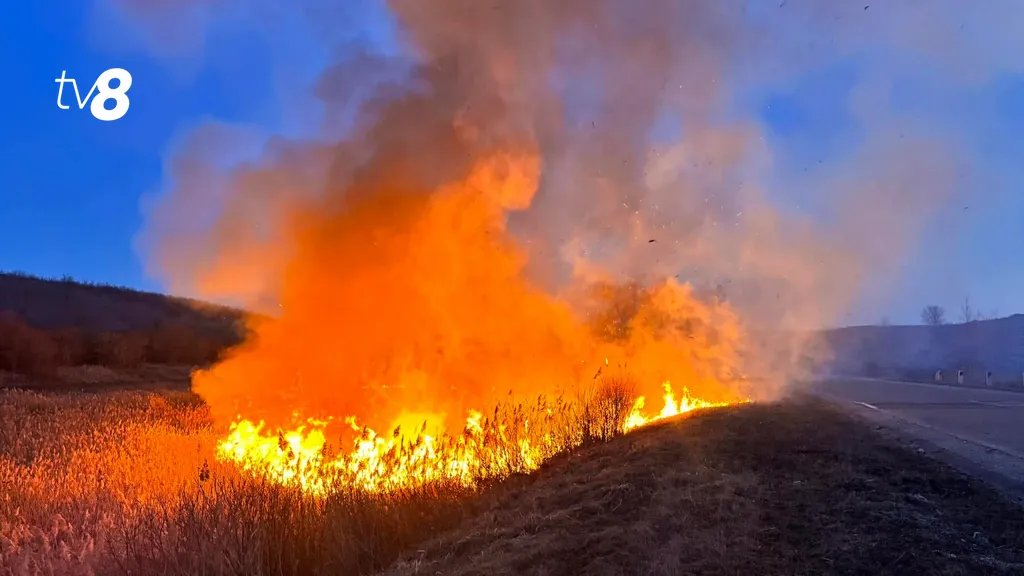 /HARTĂ/ Pericol de incendiu în Moldova: Meteorologii au emis cod galben. Perioada vizată