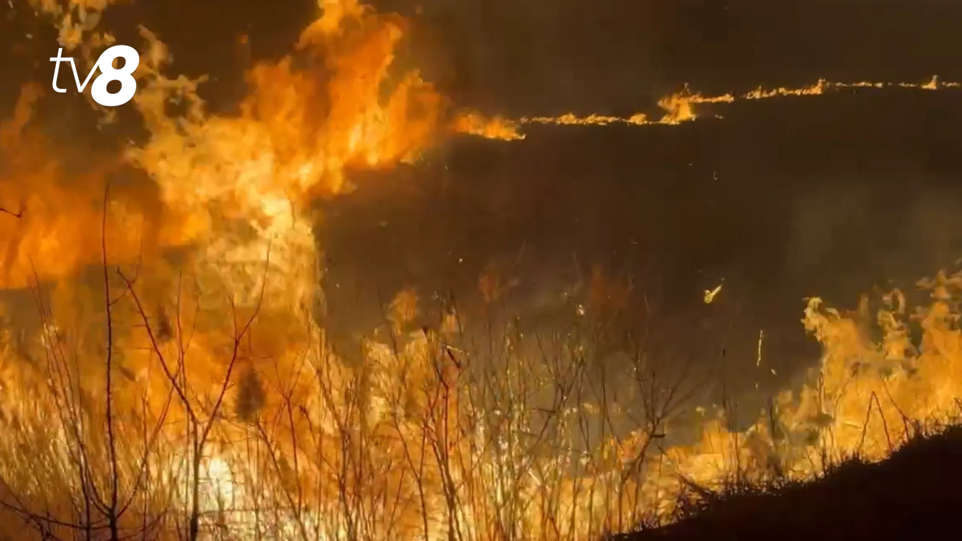 Cod galben de pericol excepțional de incendii în toată țara: Perioada vizată