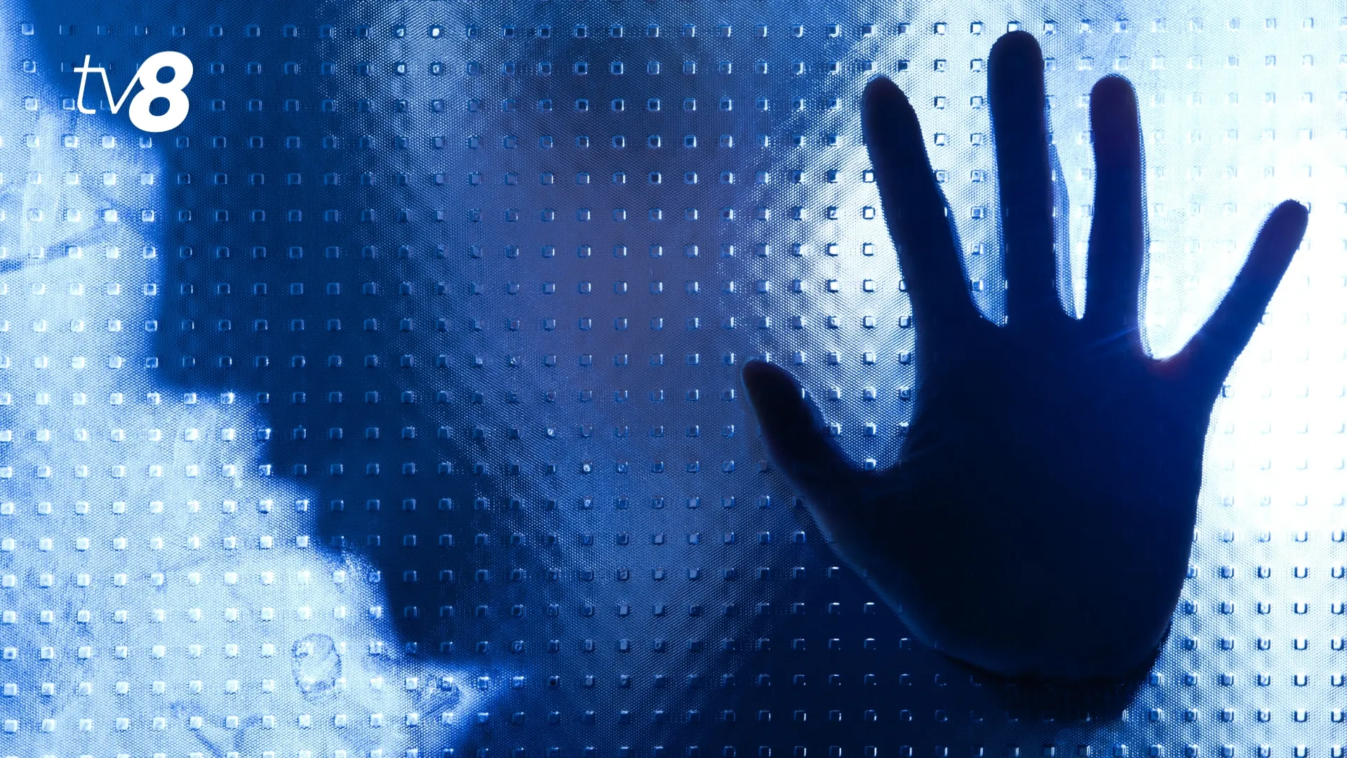 /VIDEO/ Dosarul „Car Vertical”: 6 bănuiți, plasați în arest pentru 30 de zile