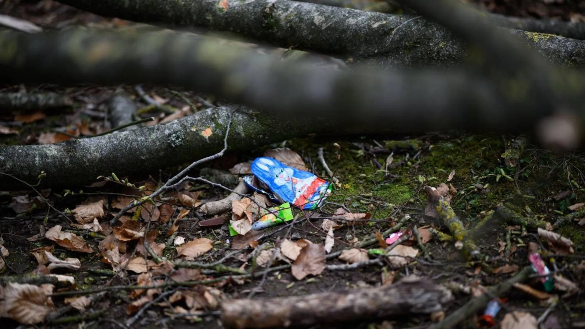 /VIDEO/ Tragedie în Germania: 3 morți după ce un copac s-a prăbușit peste oameni, la o vânătoare de ouă de Paște